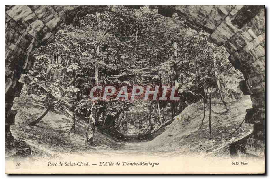 CPA Parc De Saint Cloud L'Allee De Tranche montagne