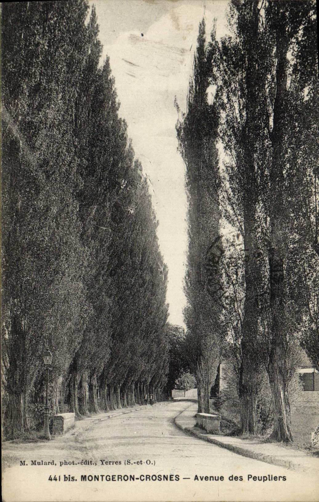 CPA Montgeron Crosnes Avenue des Peupllers