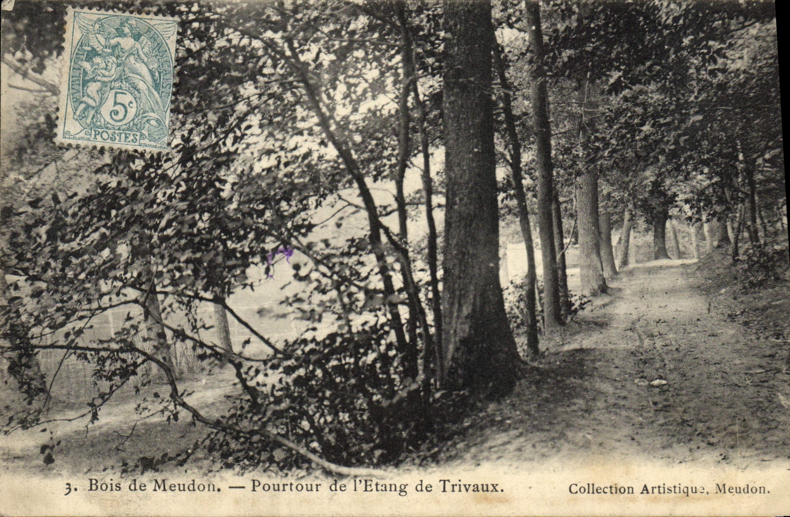 CPA Bois de Meudon Pourtour de L'Etang de Trivaux