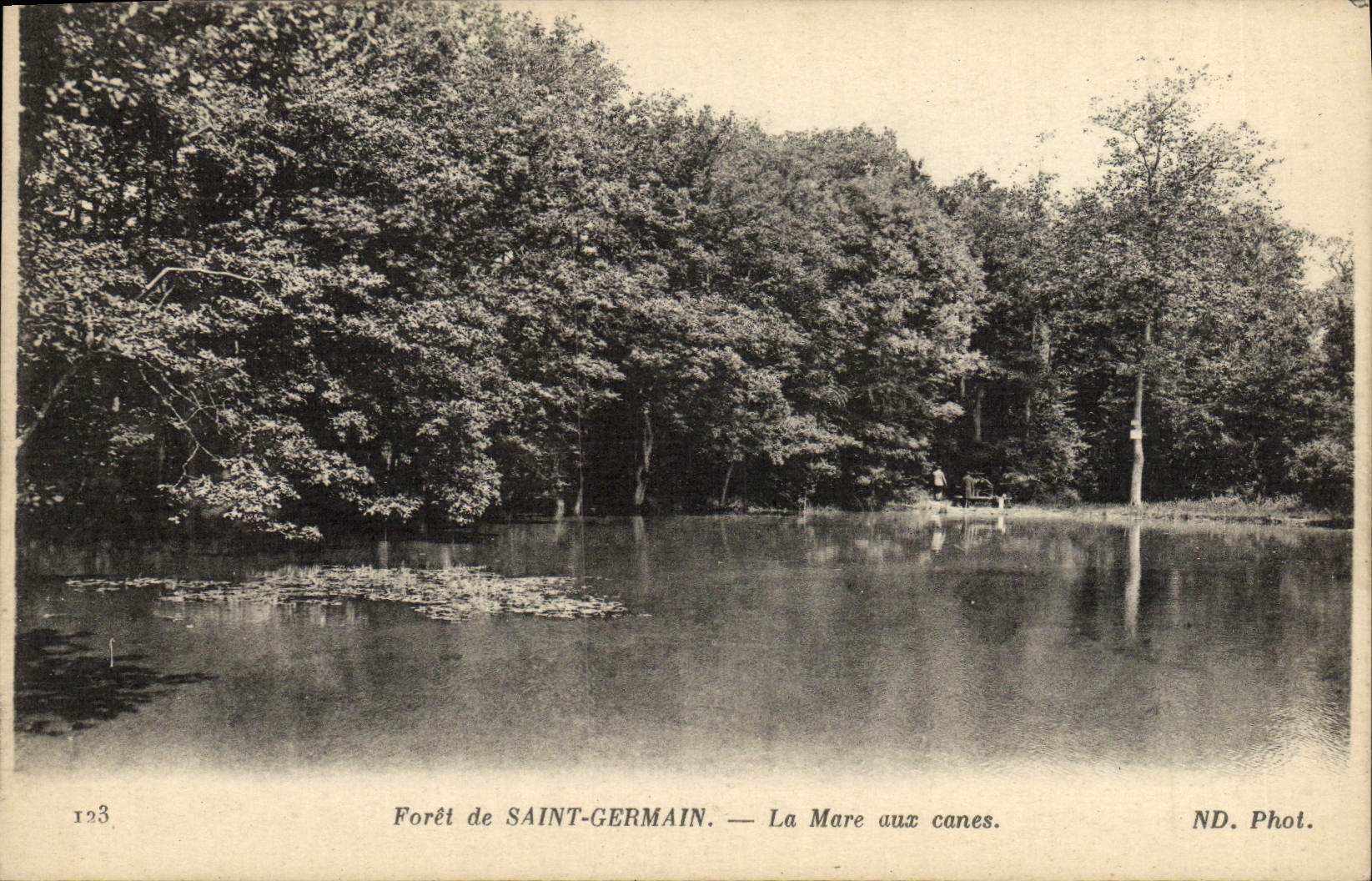 Forêt de SAINT-GERMAIN — La Mare aux canes — ND. Phot.