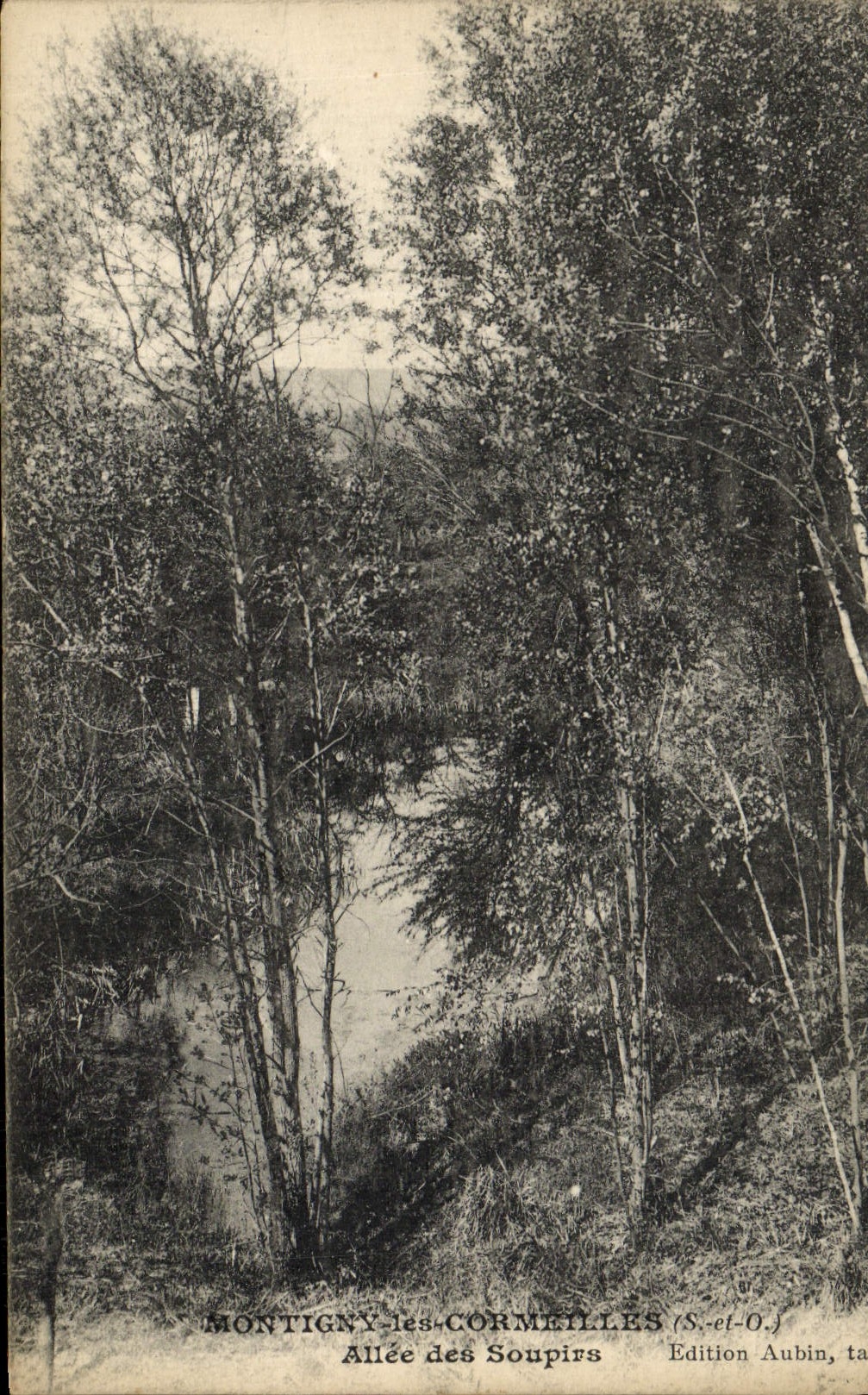 CPA Montigny Les Cormeilles Allee Des Soupirs