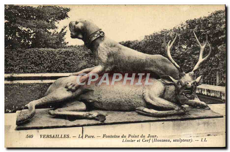 CPA Versailles Le Parc Fontaine du point du jour limier et cerf Chien Chasse