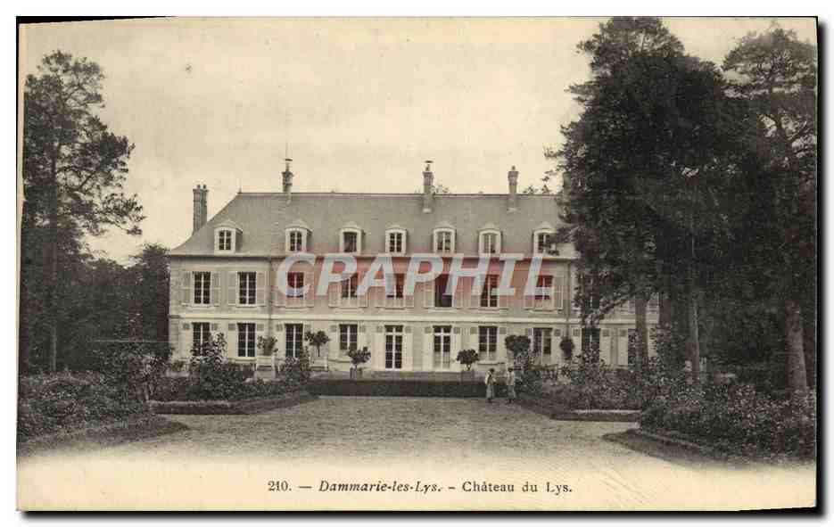 CPA Dammarie Les Lys Chateau Du Lys