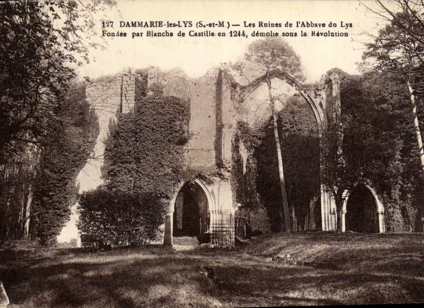CPA Dammarie Les Lys Les Ruines De l'Abbaye Du Lys