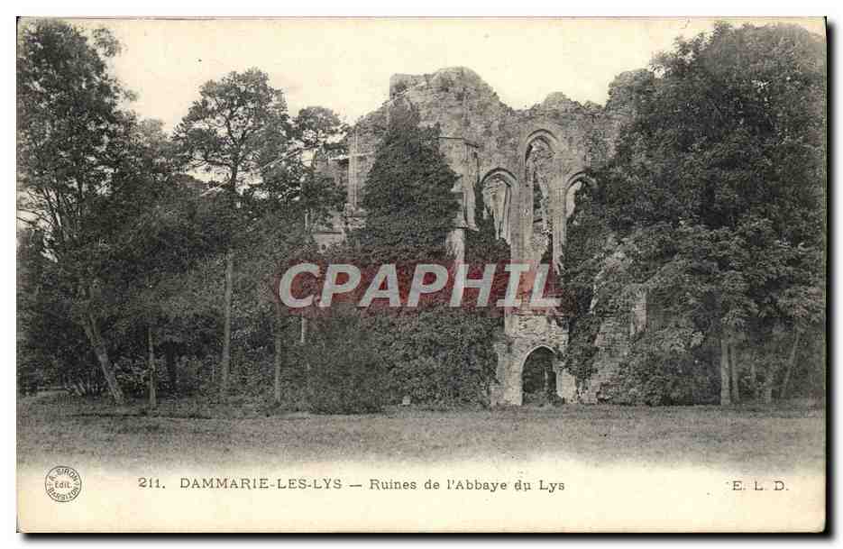 CPA Dammarie Les Lys ruines De l'Abbaye Du Lys