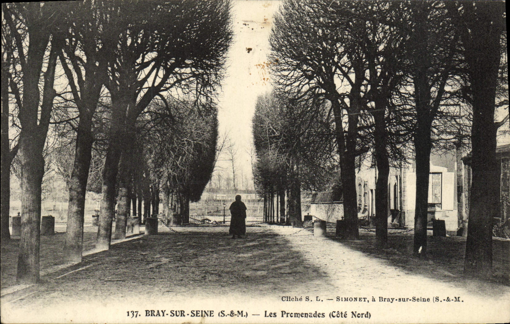 CPA Bray Sur Seine Les Promenades