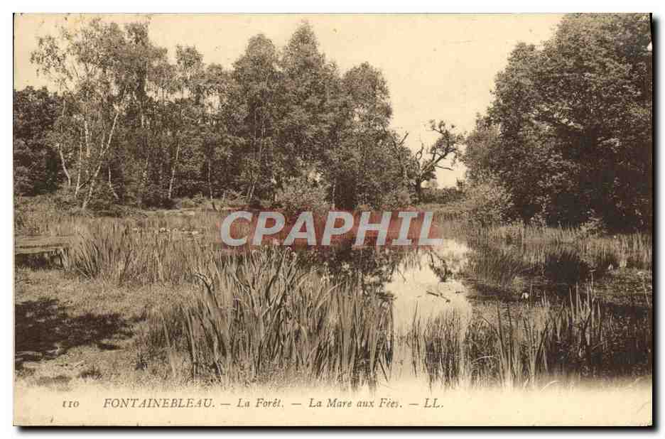 Fontainebleau — Die Wälder — Das Fées-See — LL. — N° 110