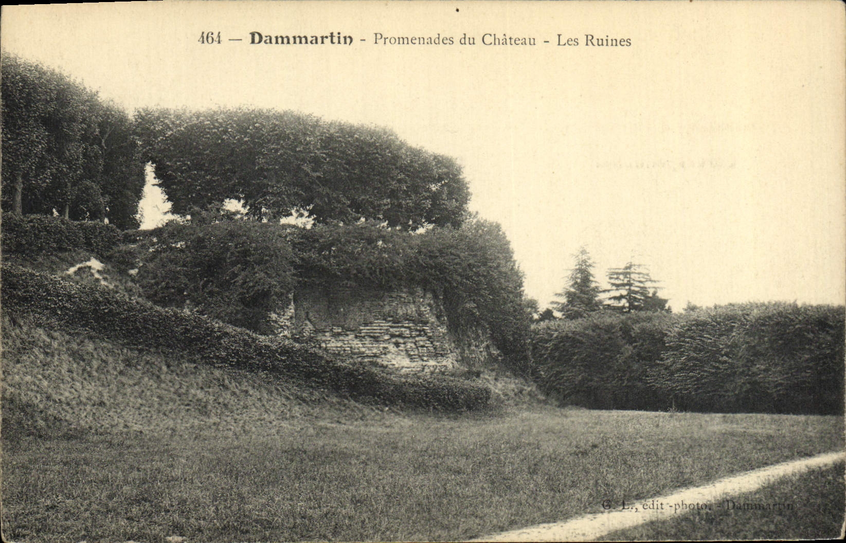 Dammartin - Promenades du Château - Les Ruines — Éditeur L. - n° 464
