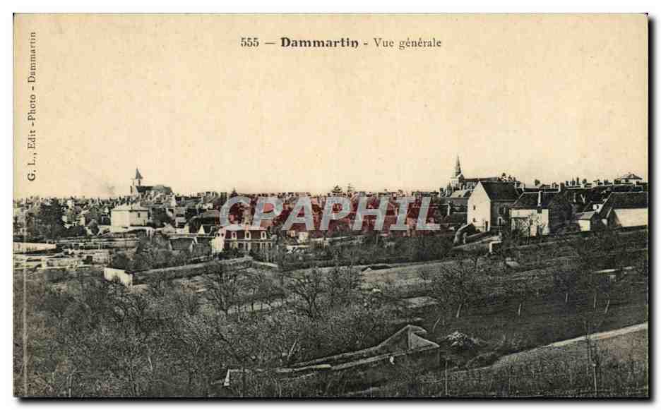 Dammartin - Vue générale — G. L., Edit. - Dammartin, n° 555