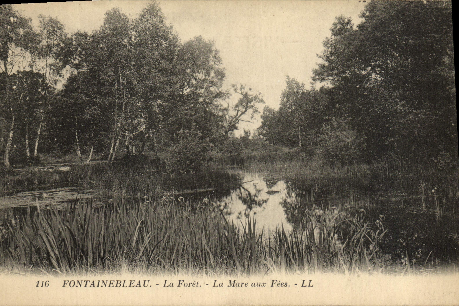 Fontainebleau - La Foresta - La Mare aux Fées - LL