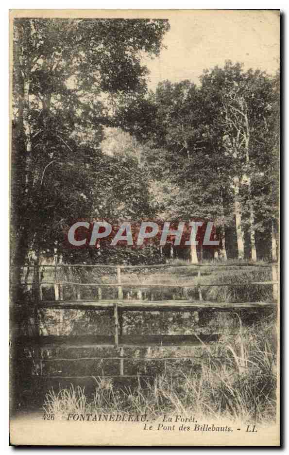 Fontainebleau - La Forêt - Le Pont des Billebauts - LL