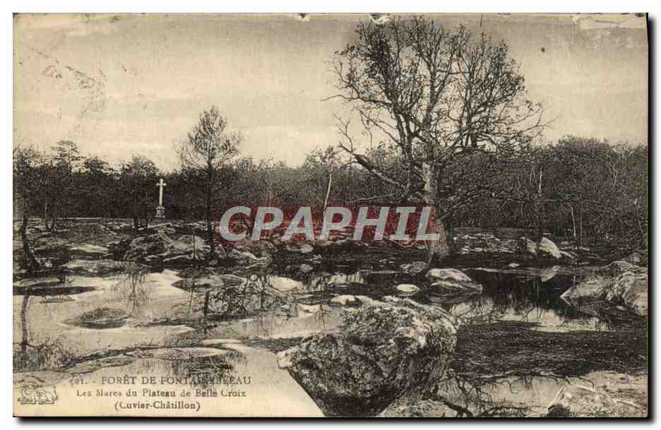 Bosque de Fontainebleau — Las Mares del Plateau de Belle Croix — Cuvier-Châtillon