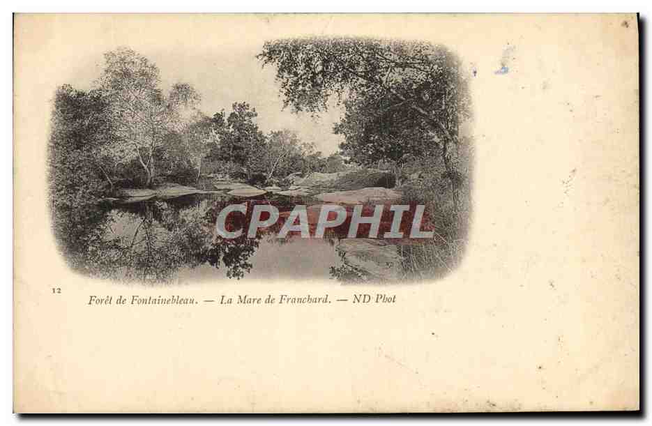 CPA Foret De Fontainebleau La Mare de Franchard