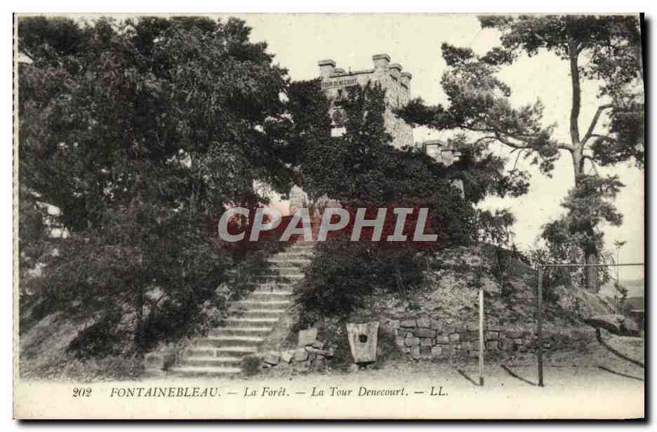 Fontainebleau — La Forêt — La Tour Denecourt — LL