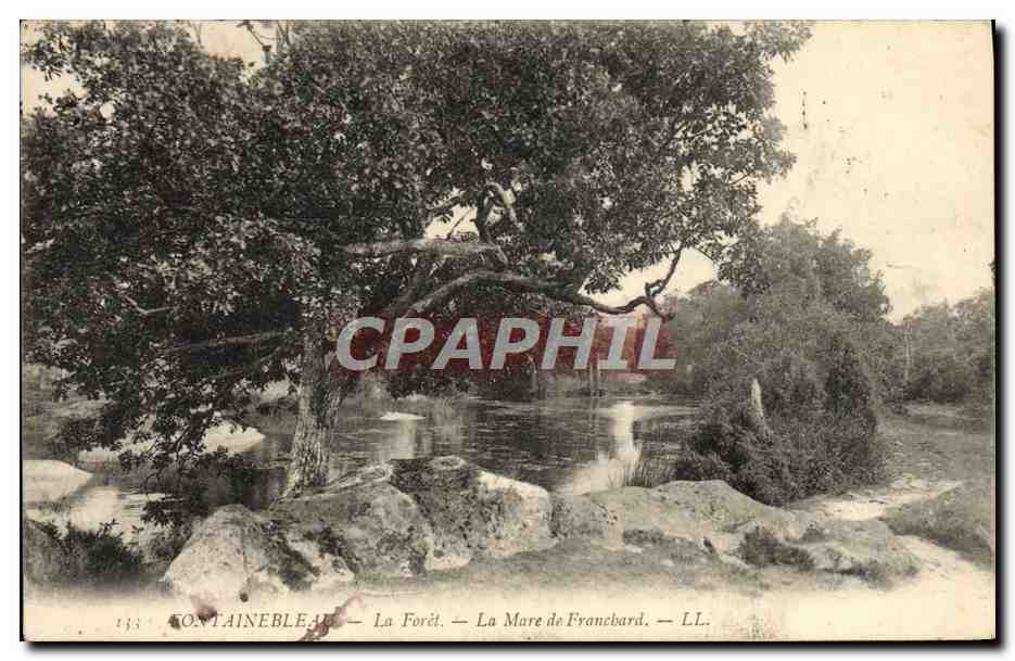 Fontainebleau — La Foresta — La Mare de Francbard — LL.