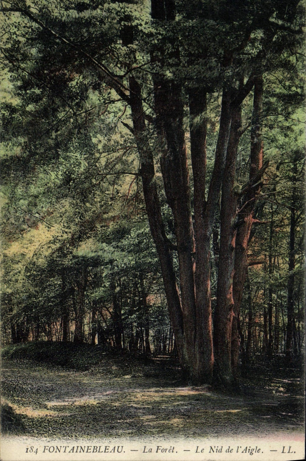 Fontainebleau — El Bosque — El Nido del Águila — LL