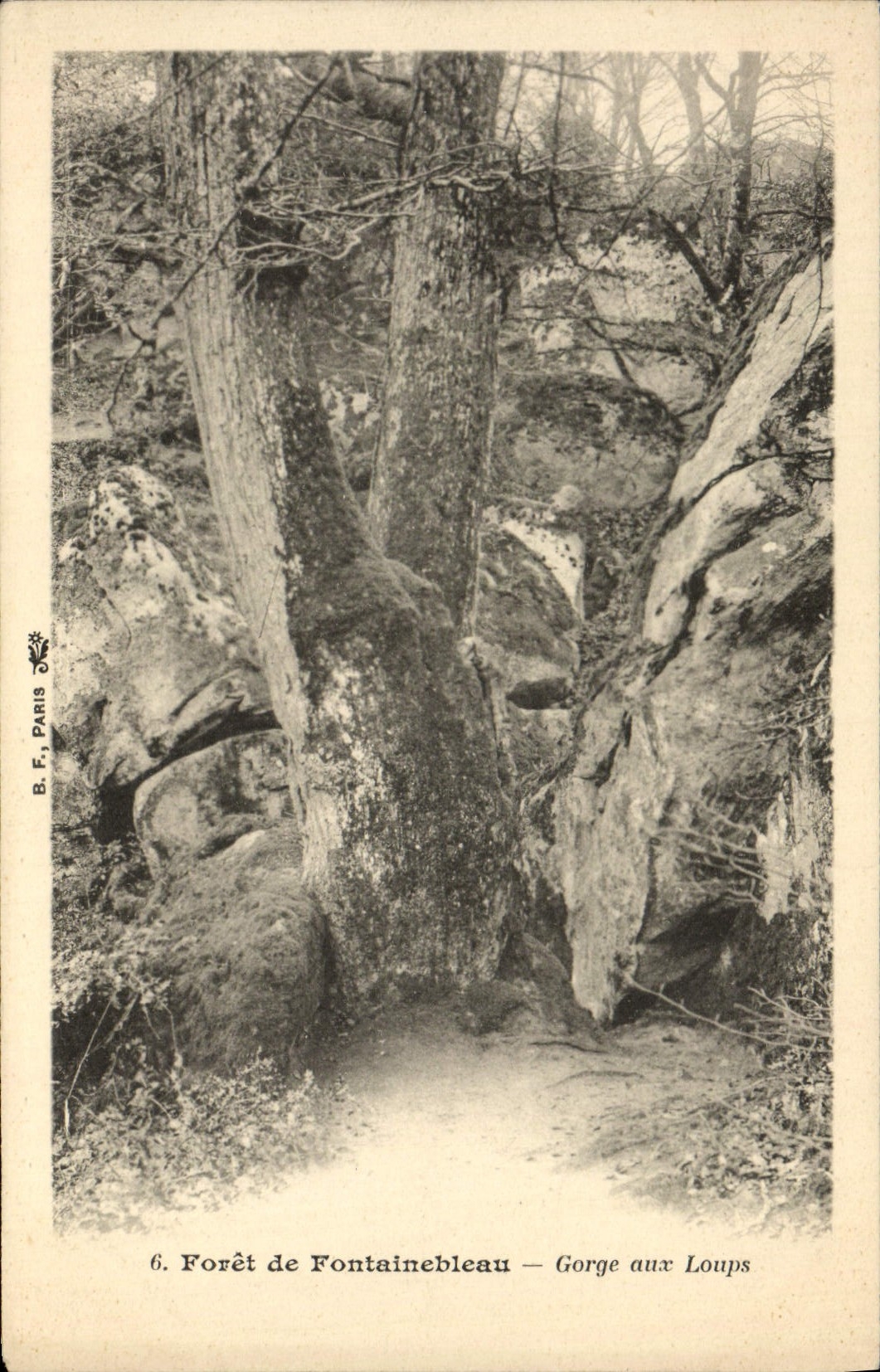 Bosque de Fontainebleau — Garganta de los Lobos — B.F. Paris, n°6