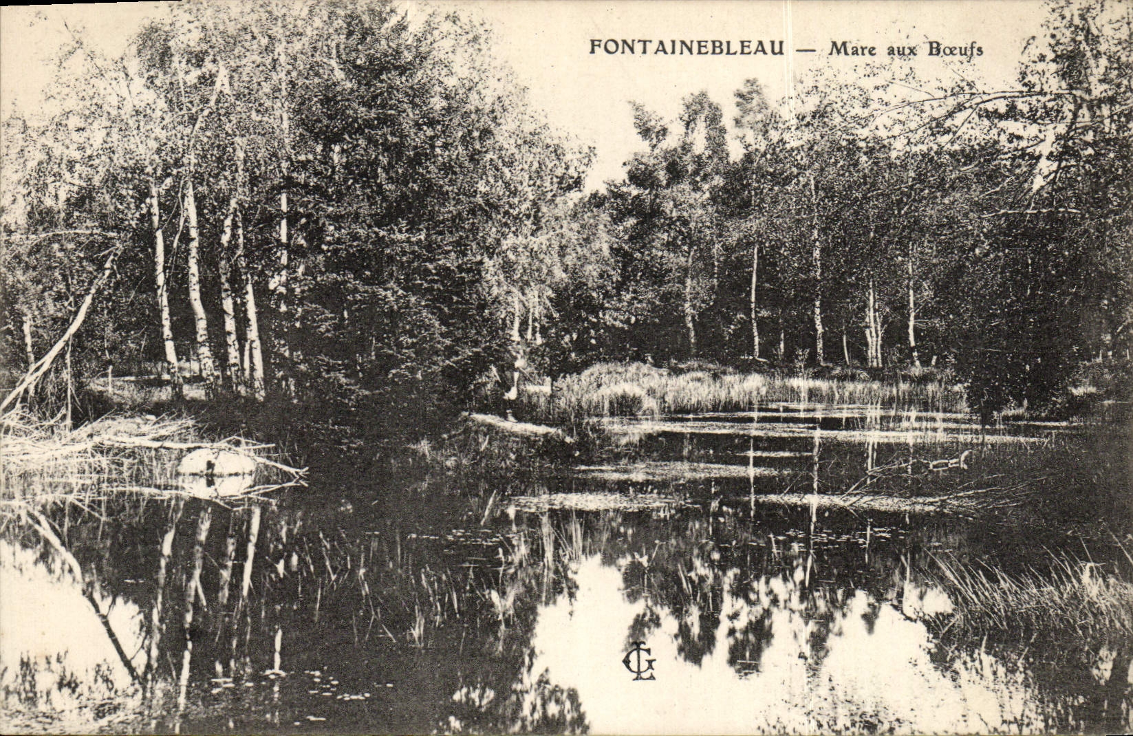 Fontainebleau — Mare aux Bœufs — Editore C.G.
