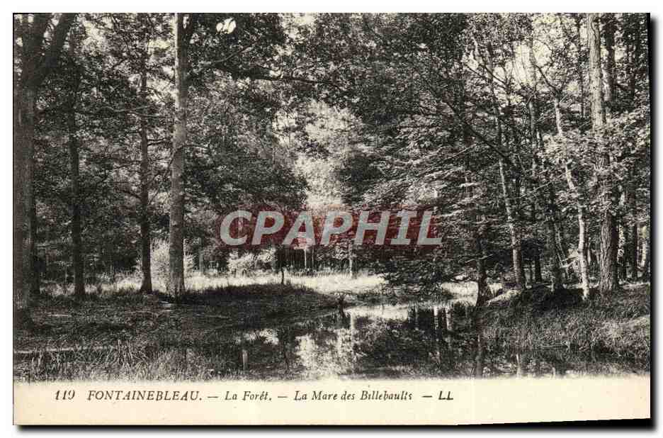 Fontainebleau — La Forêt — La Mare des Billebaults — LL
