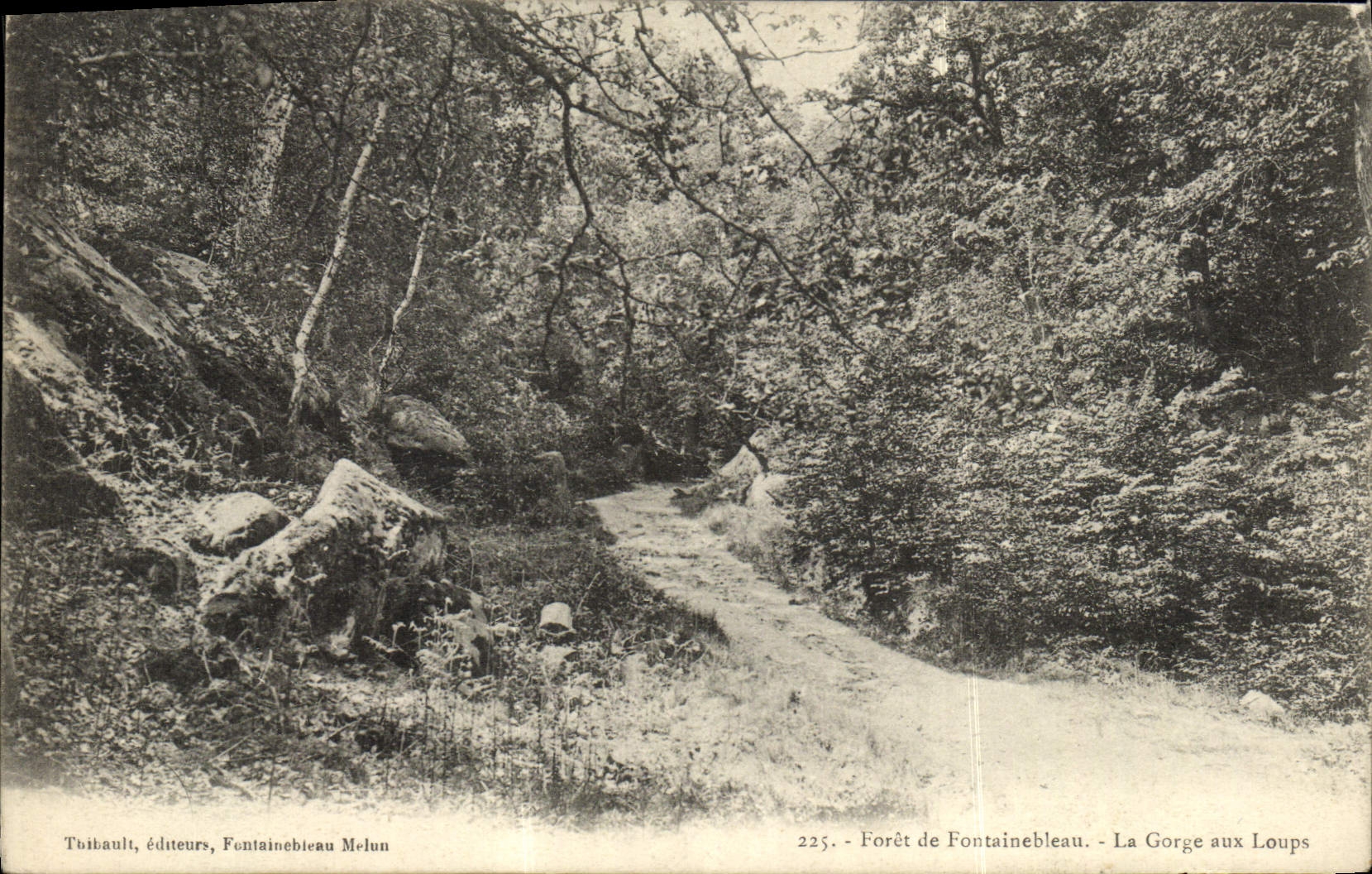 Forêt de Fontainebleau - La Gorge aux Loups — Tbitault, éditeurs, Fontainebleau Melun, n° 225