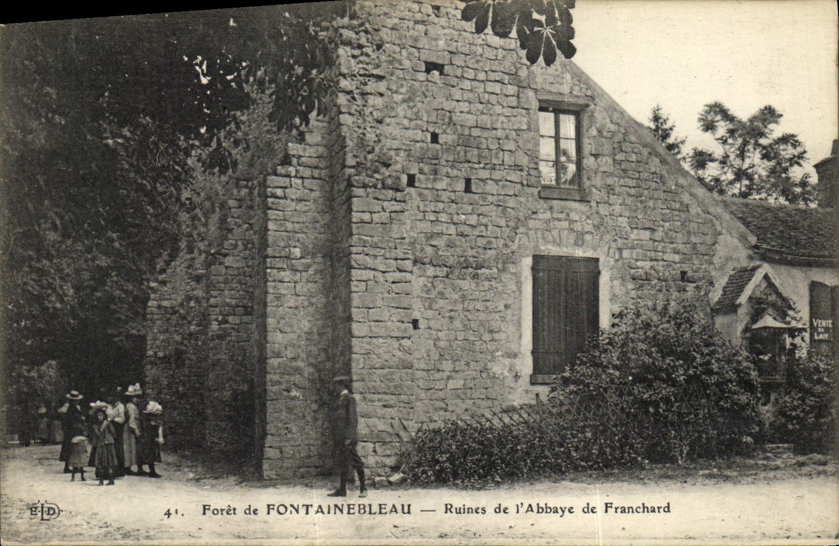 Forêt de Fontainebleau — Ruines de l'Abbaye de Franchard — Éditeur EID, n°41
