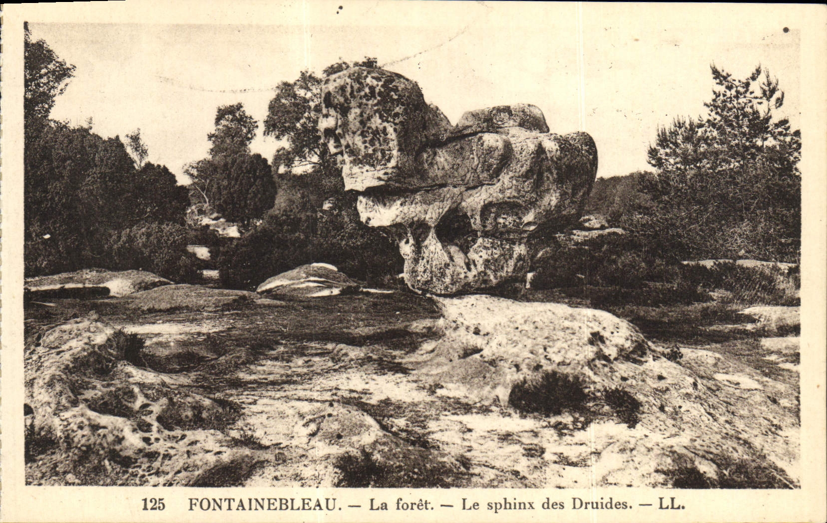 Fontainebleau — La foresta — Il sfinx dei Druidi — LL. — N° 125