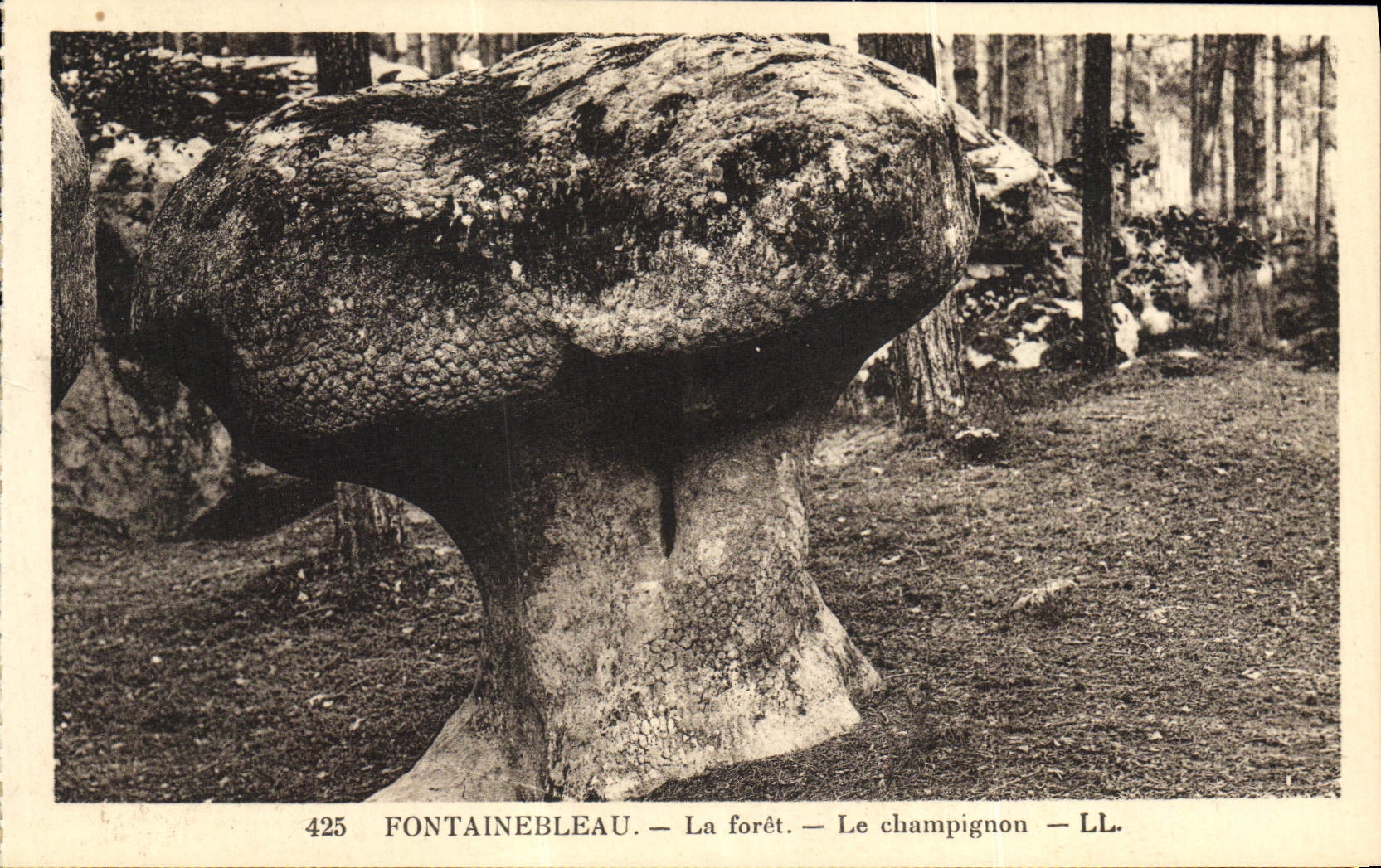 Fontainebleau — La foresta — Il fungo — LL.