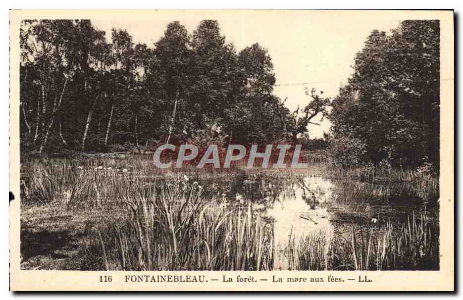 CPA Fontainebleau La Foret La Mare Aux Fees