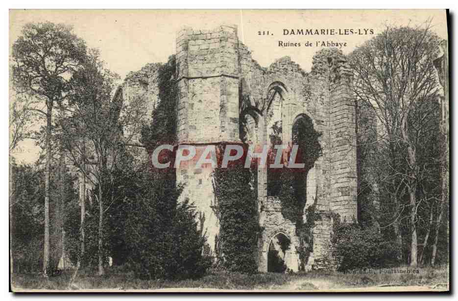 CPA Dammarie Les Lys Ruines De l'abbaye