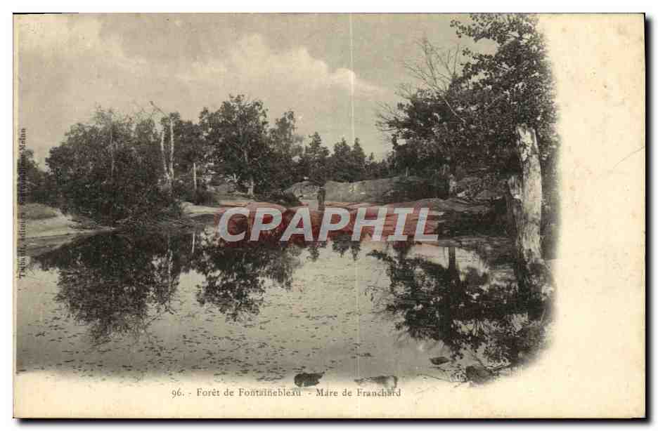 Bosque de Fontainebleau - Mare de Franchard — editor: Photo. Editor Fontainebleau, Sèvres