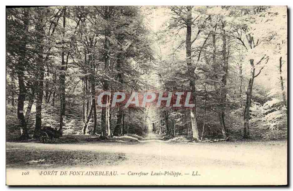 Foresta di Fontainebleau — Incrocio Louis-Philippe — LL. — N° 108