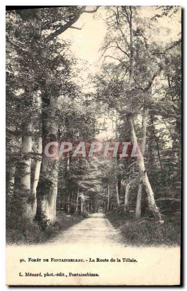 Wald von Fontainebleau — Die Tillaie Straße — L. Ménard, Foto-Verlag, Fontainebleau