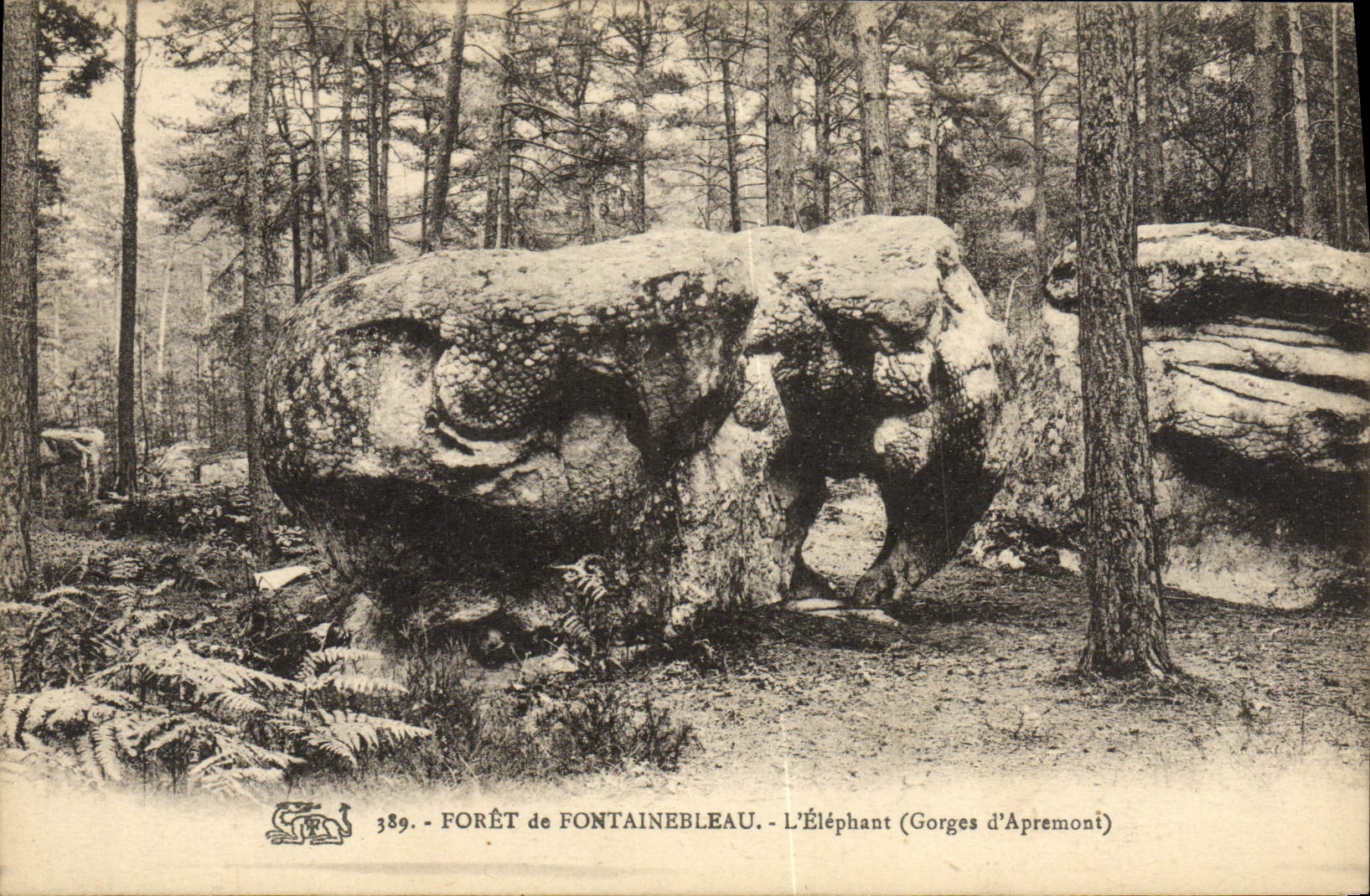 L'Elefante (Gorges d'Apremont) — Foresta di Fontainebleau — n° 389