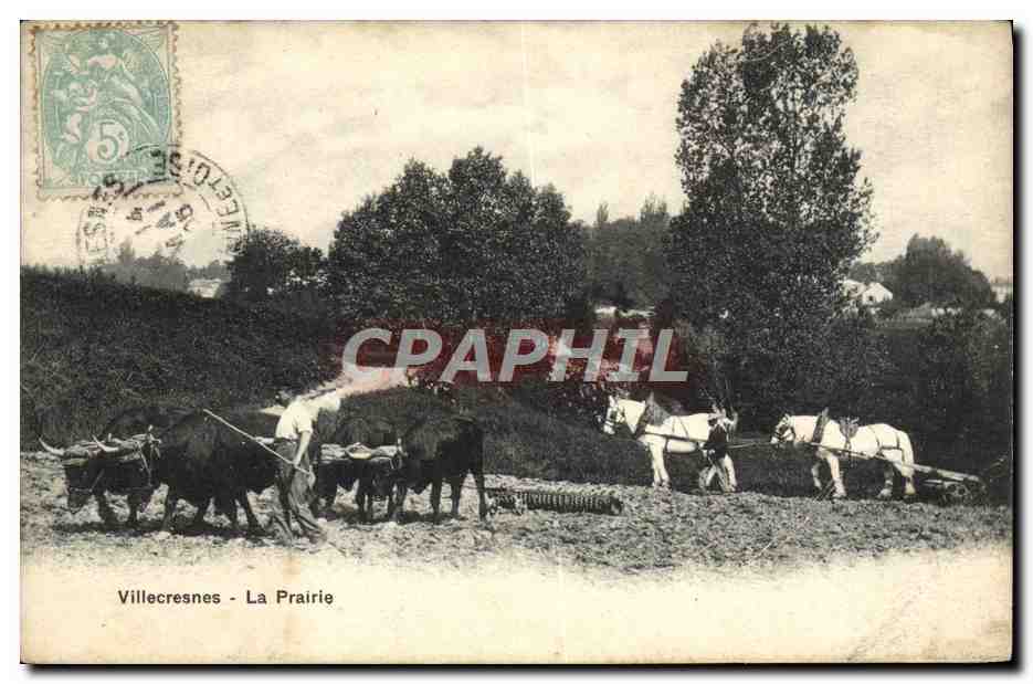 CPA Villecresnes La Prairie Charrue et boeufs Paysan TOP