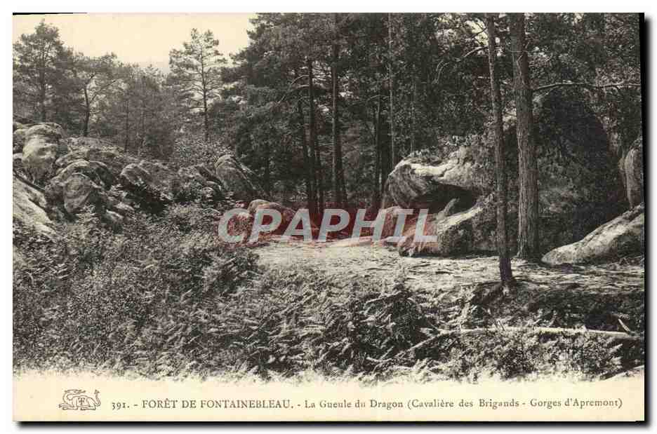 Forêt de Fontainebleau — La Gueule du Dragon (Cavalière des Brigands - Gorges d'Apremont) — n°391
