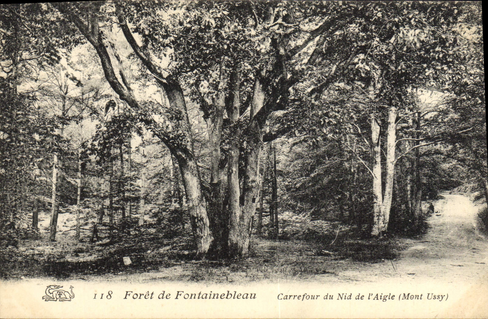 Foresta di Fontainebleau — Incrocio del Nido dell'Aquila (Mont Ussy) — editore non identificato, n° 118