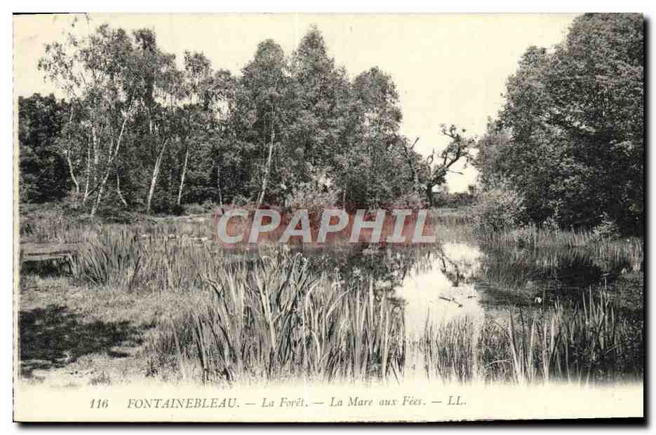 Fontainebleau — La Forêt — La Mare aux Fées — LL. — N° 116