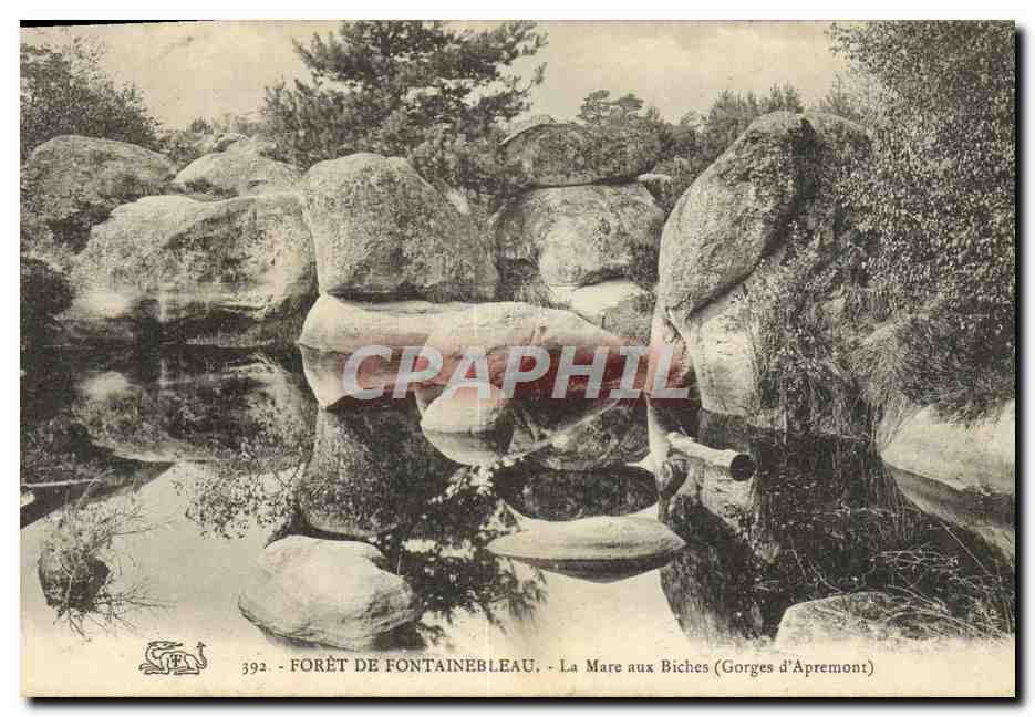 Wald von Fontainebleau — La Mare aux Biches (Gorges d'Apremont) — CPAPHIL n°392