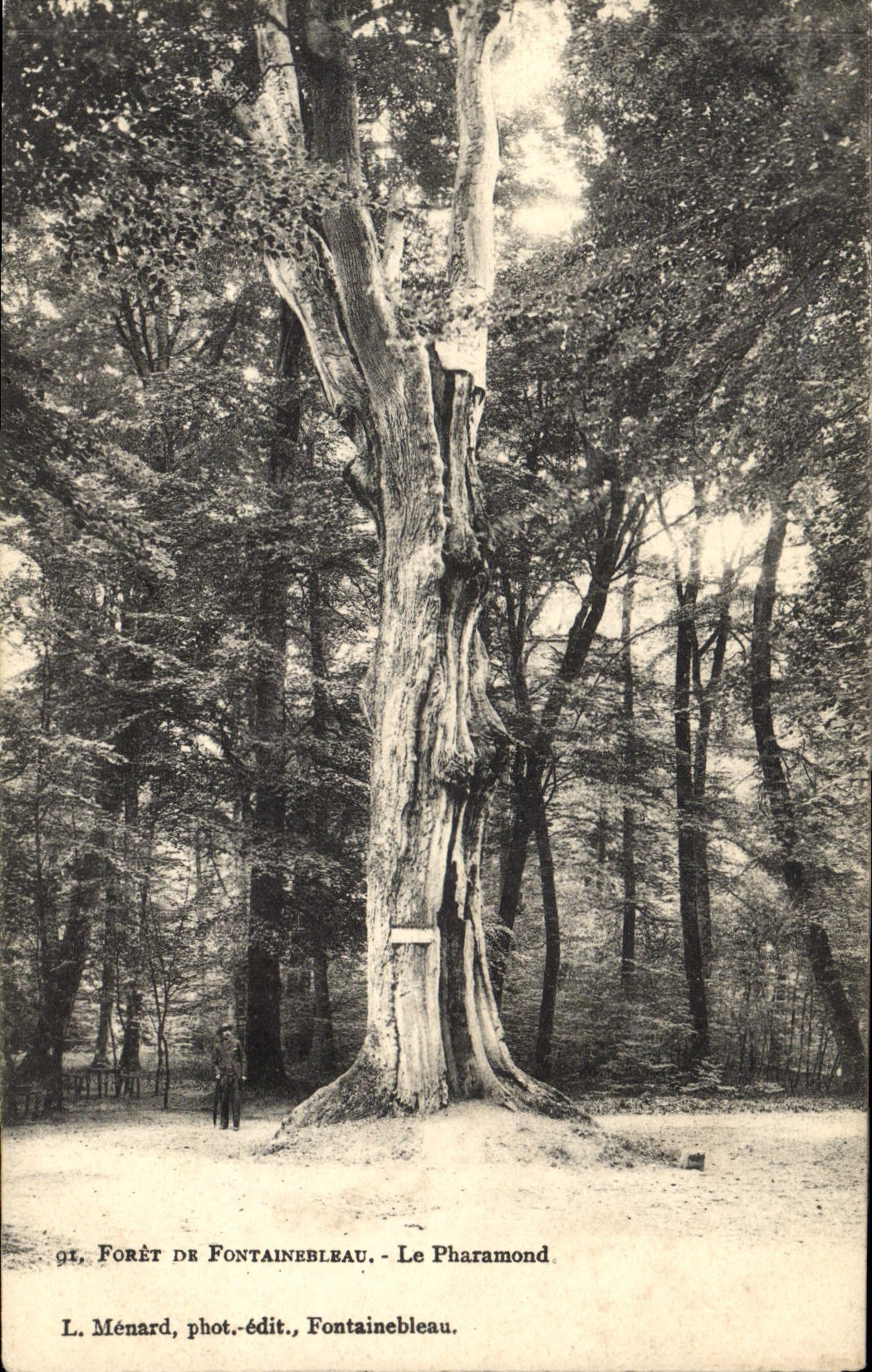 Wald von Fontainebleau — Le Pharamond — L. Ménard, Fotograf-Verleger, Fontainebleau