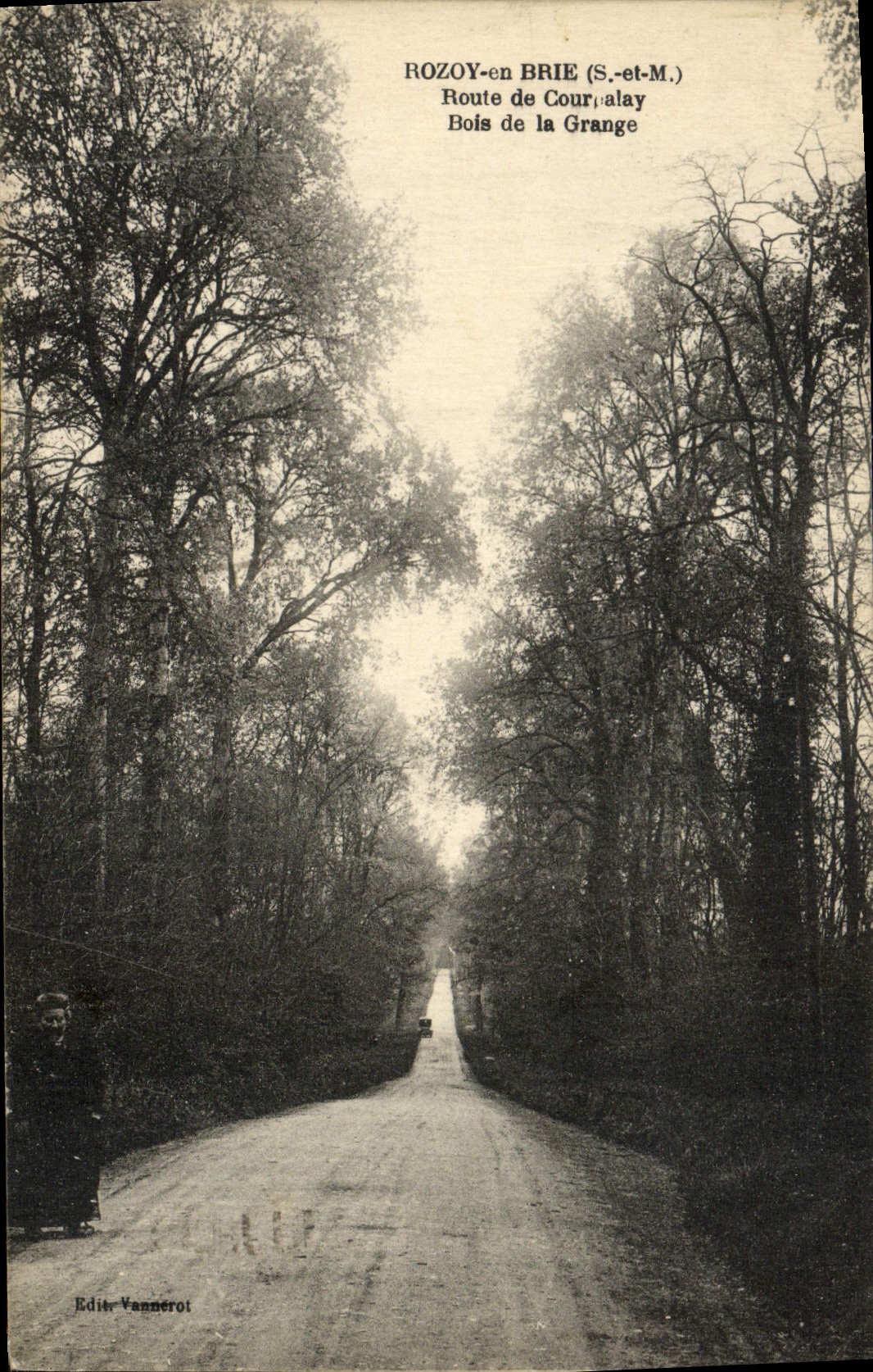 CPA Rozoy En Brie Route De Courpalay Bois de la Grange 
