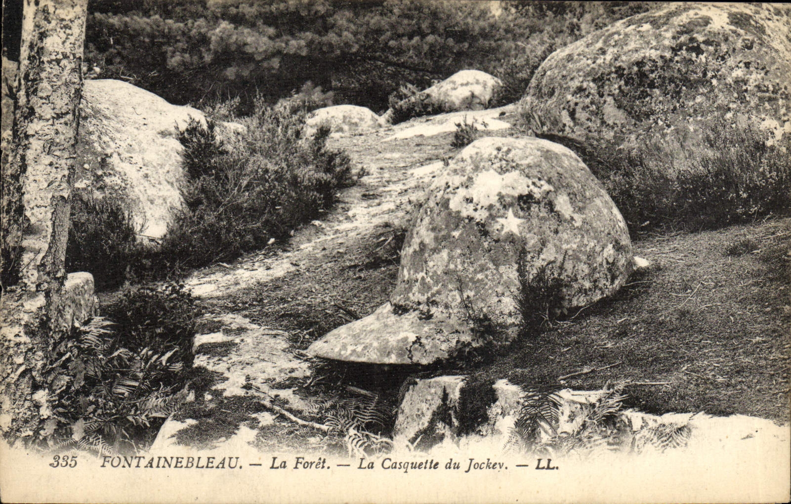 Fontainebleau — La Forêt — La Casquette du Jockey — LL. — N° 335