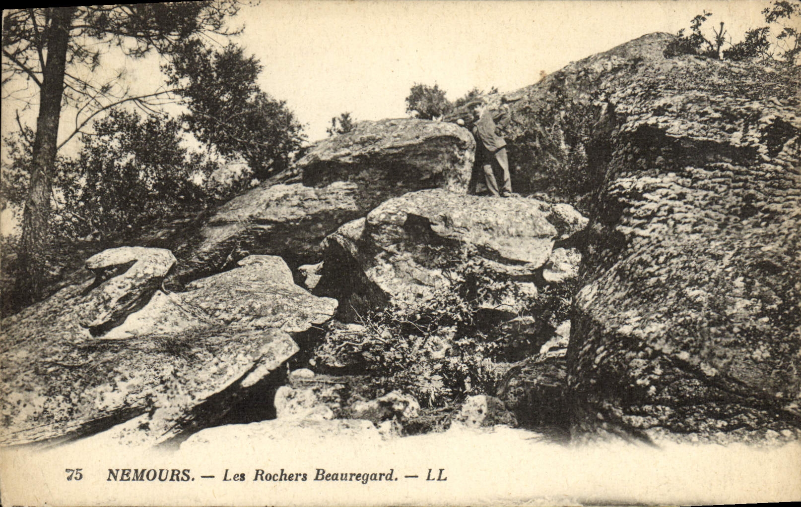 CPA Nemours Les Rochers Beauregard