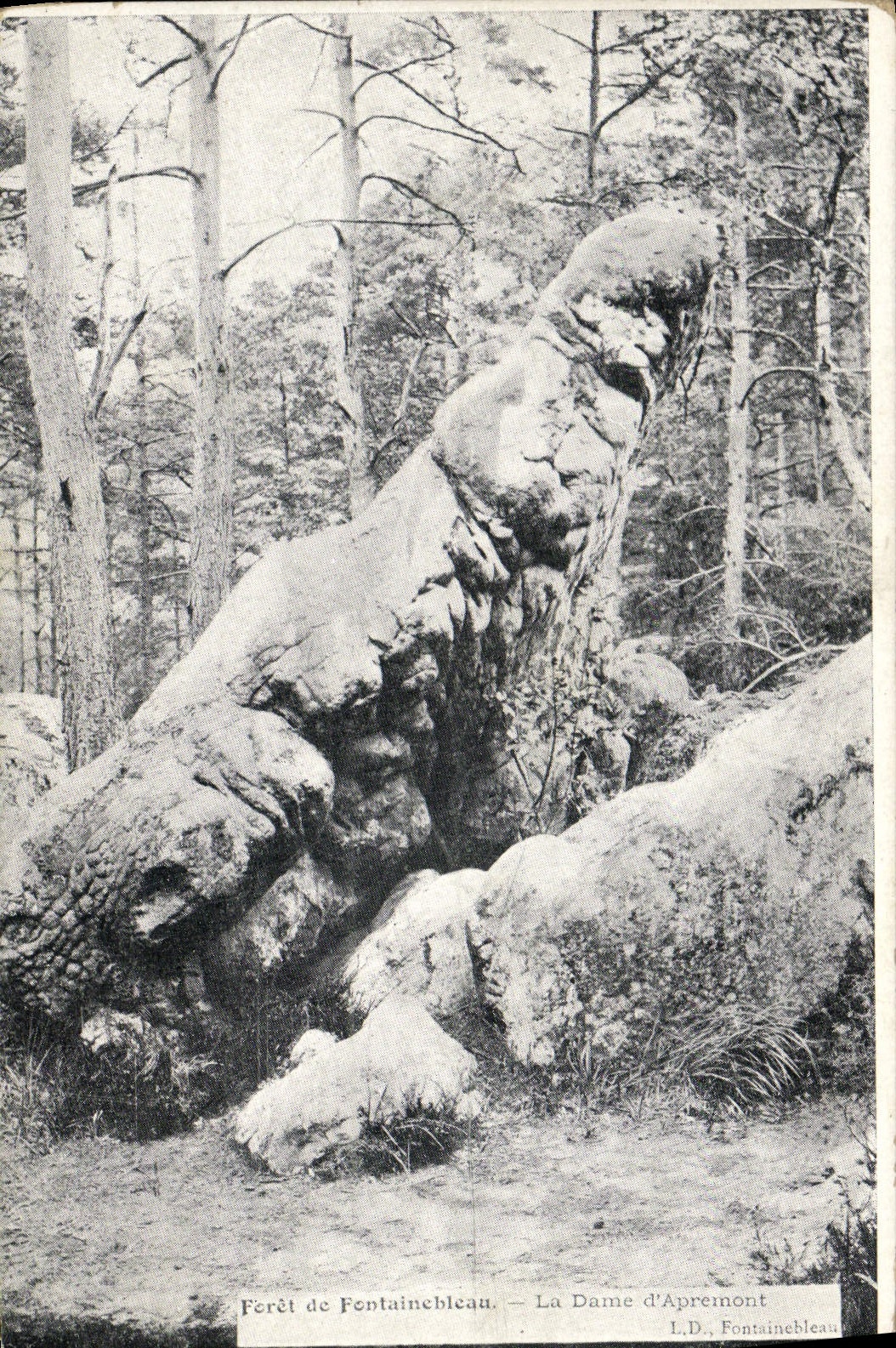 La Dame d'Apremont — Fontainebleau — L.D., Fontainebleau