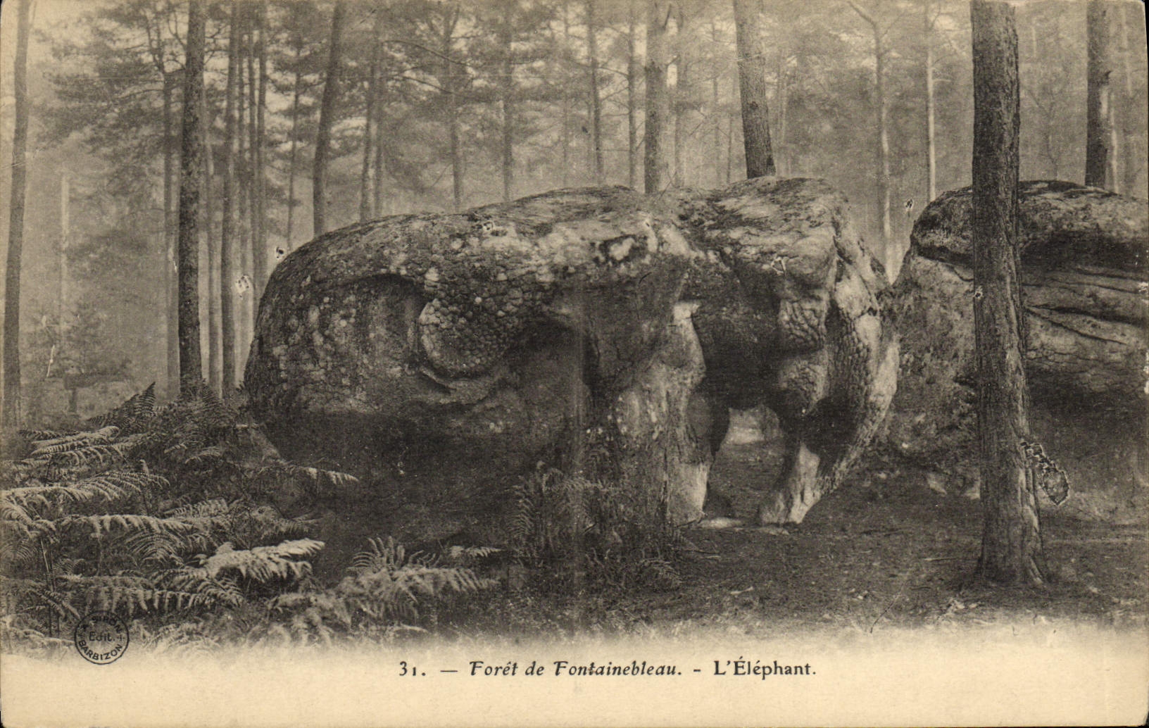 Wald von Fontainebleau — Der Elefant — Verlag Barbizon, n°31