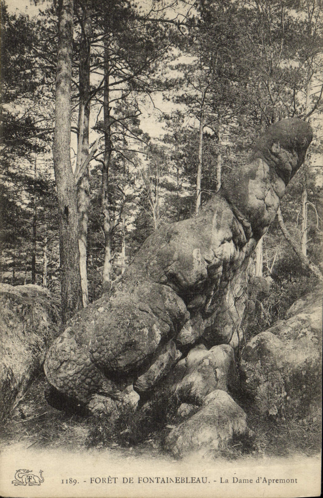Wald von Fontainebleau — Die Dame von Apremont — Verlag PF, Nr. 1189