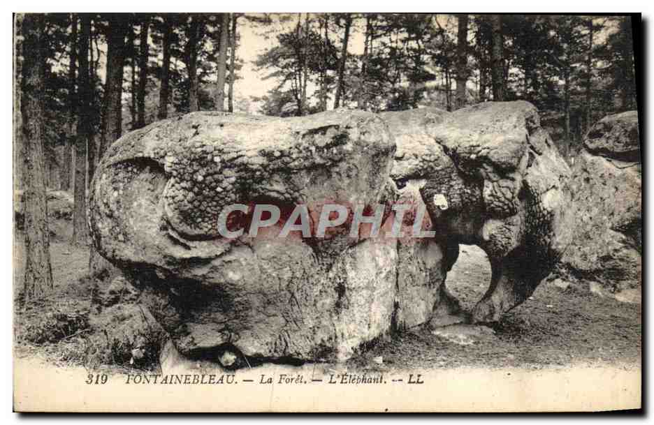 Fontainebleau — La Forêt — L'Éléphant — LL
