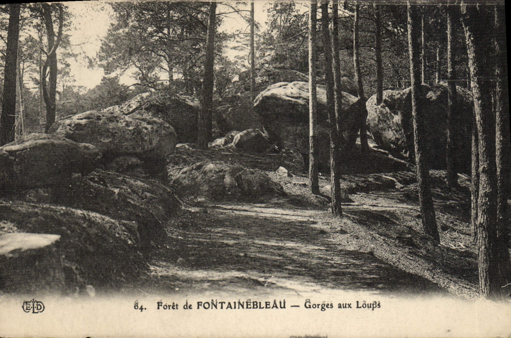 Forêt de FONTAINEBLEAU — Gorges aux Loups — Éditeur E.D. n°64