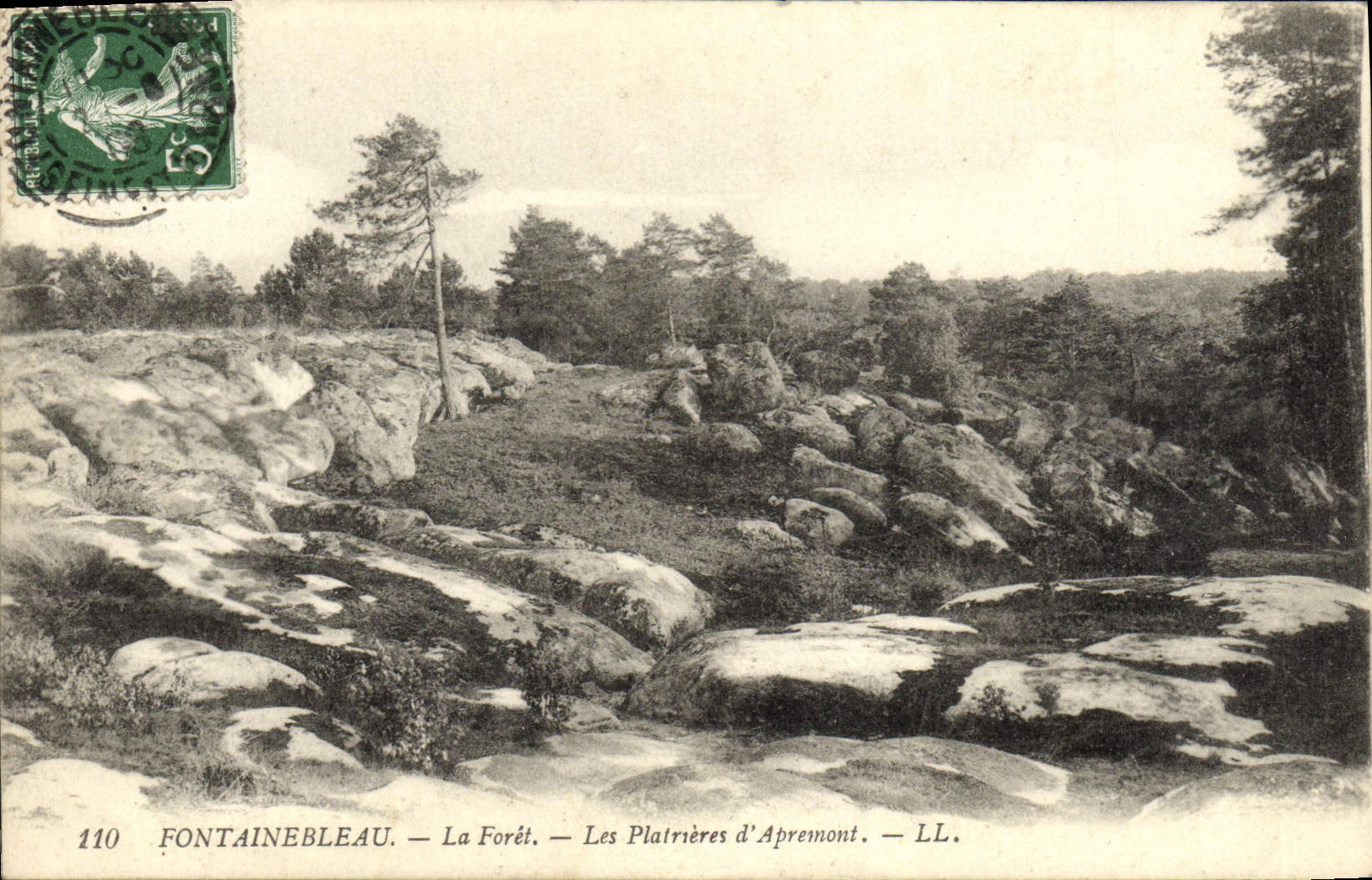 Les Platrières d'Apremont — Fontainebleau — LL. — n°110