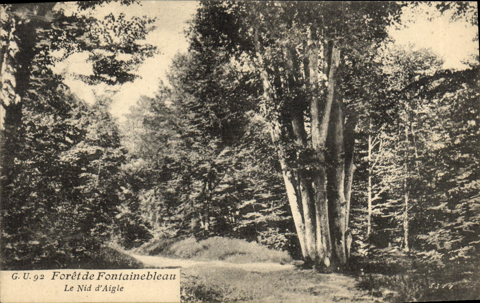Forêt de Fontainebleau — Le Nid d'Aigle — G.U.92