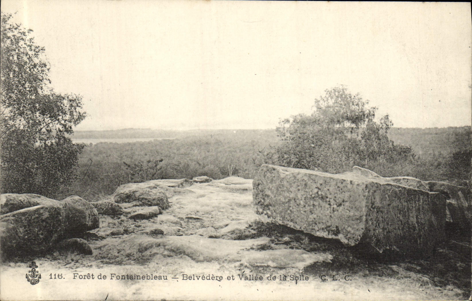 Fontainebleau Forest — Belvedere and Spole Valley — C. L. C.